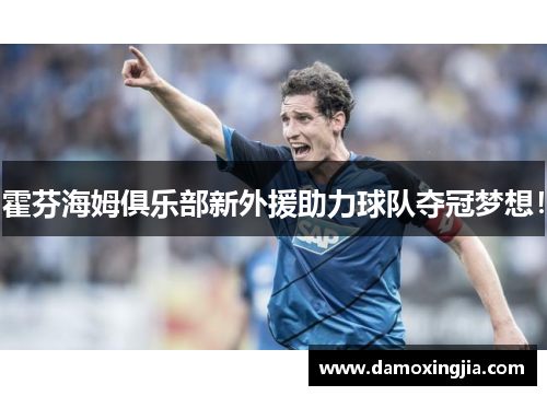 霍芬海姆俱乐部新外援助力球队夺冠梦想！