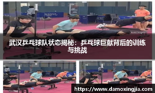 武汉乒乓球队状态揭秘：乒乓球巨献背后的训练与挑战