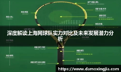深度解读上海网球队实力对比及未来发展潜力分析