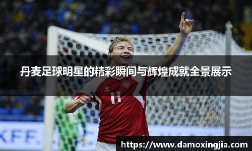 丹麦足球明星的精彩瞬间与辉煌成就全景展示